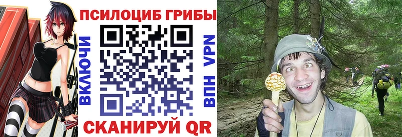 kraken как войти  Орёл  Галлюциногенные грибы Magic Shrooms  наркошоп 